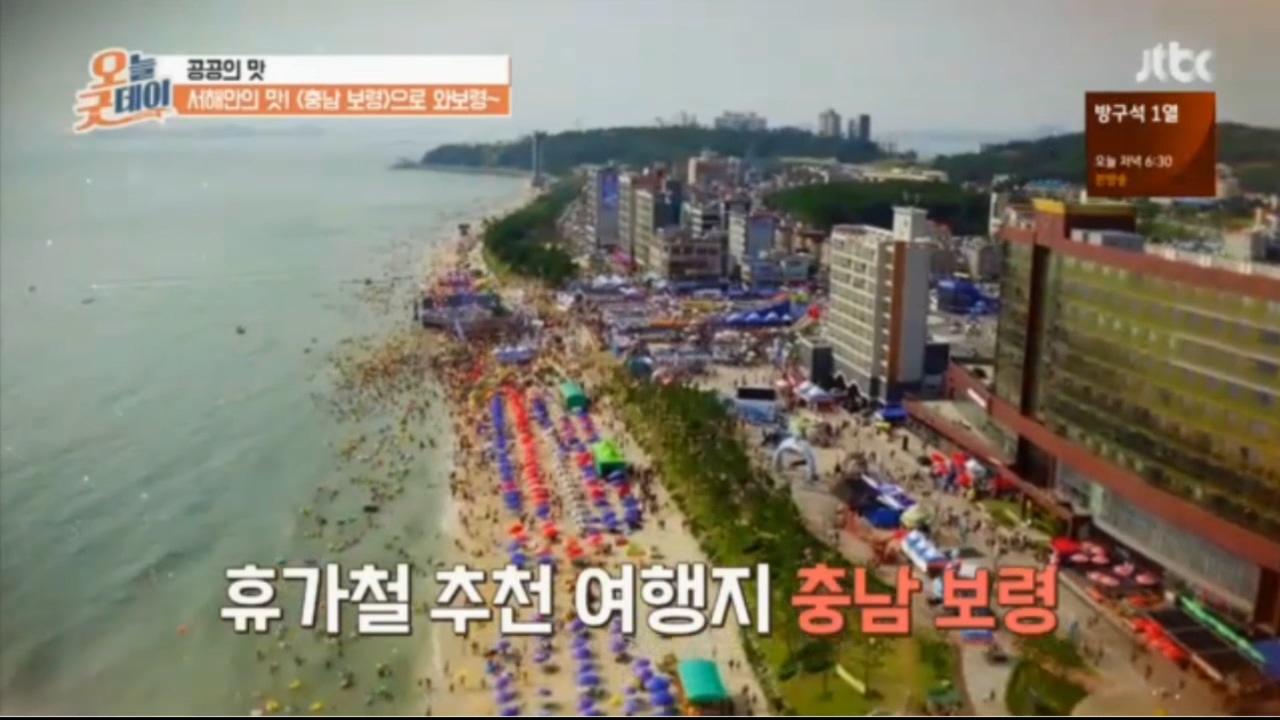 [0518 jtbc 오늘은 굿데이] 보령 토박이 추천 맛집